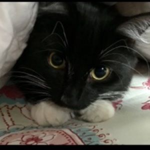 Meet your Posher, Madison